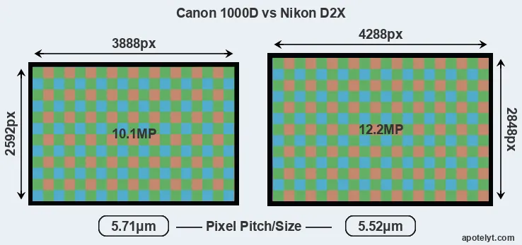 1000D versus D2X MP