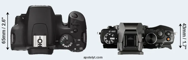 Compare 1000D versus E-M5 top