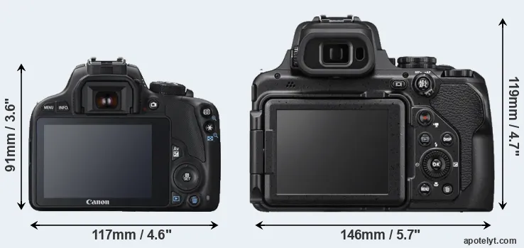 Comparison 100D or P1000 rear