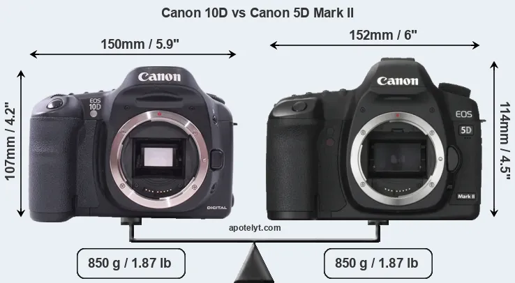Size Canon 10D vs Canon 5D Mark II