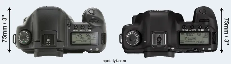 Compare 10D versus 5D Mark II top