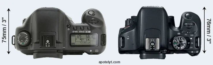 Compare 10D versus 800D top