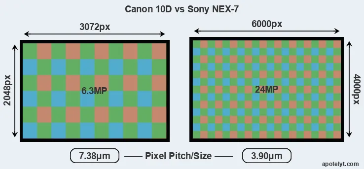 10D versus NEX-7 MP