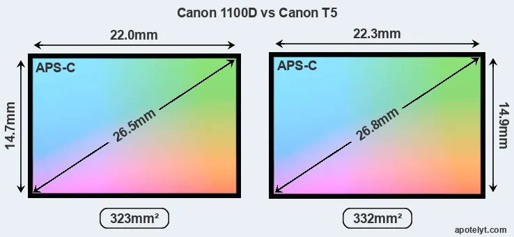 Canon 1100D and Canon T5 sensor measures
