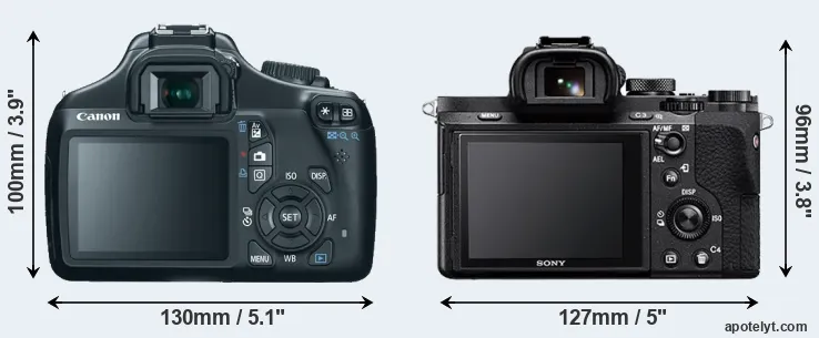 Comparison 1100D or A7 II rear