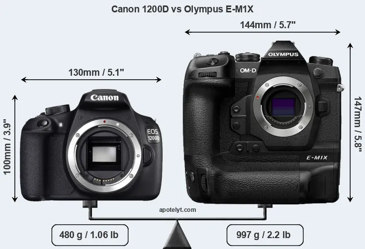 Size Canon 1200D vs Olympus E-M1X