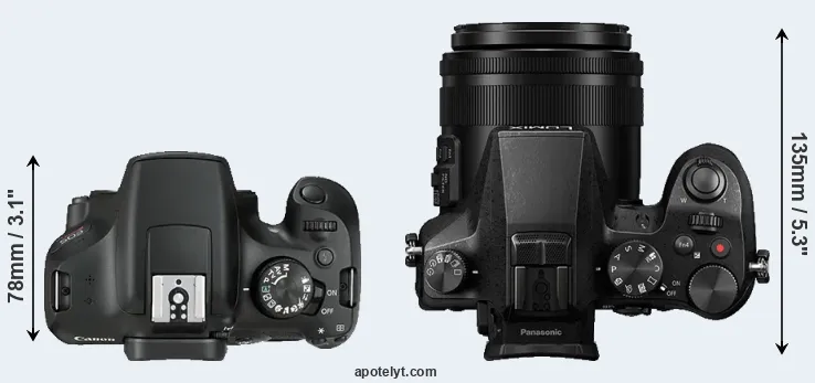Compare 1300D versus FZ2000 top
