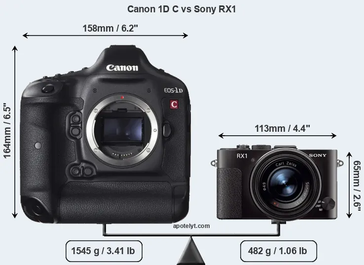 Size Canon 1D C vs Sony RX1
