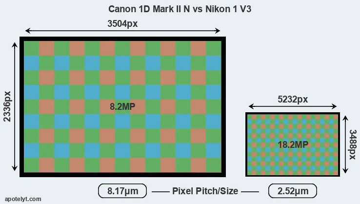1D Mark II N versus V3 MP