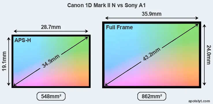 Canon 1D Mark II N and Sony A1 sensor measures