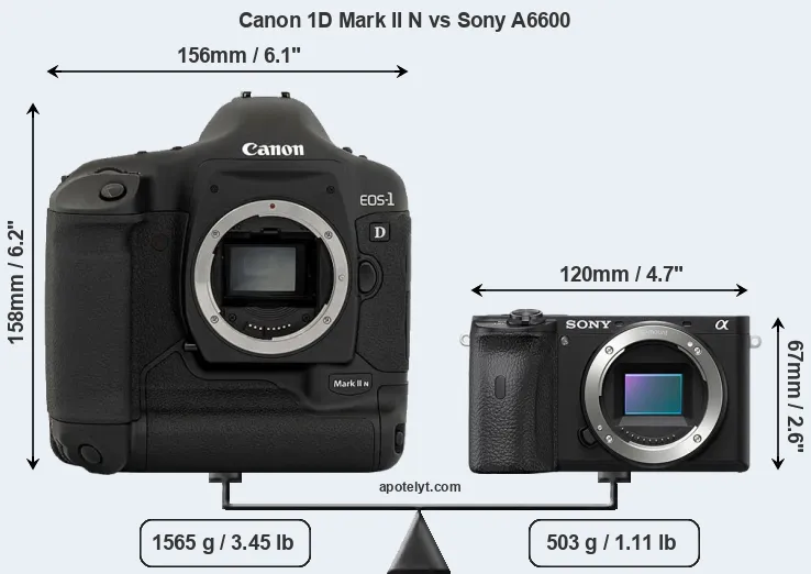 Size Canon 1D Mark II N vs Sony A6600