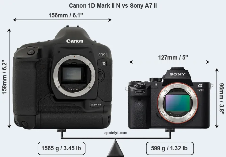 Size Canon 1D Mark II N vs Sony A7 II