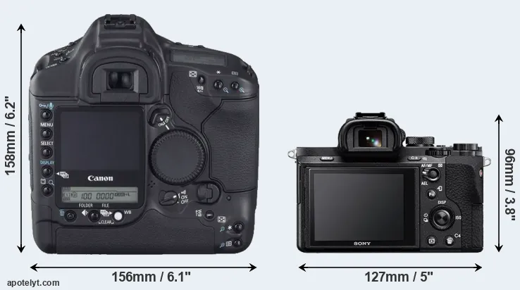 Comparison 1D Mark II N or A7 II rear