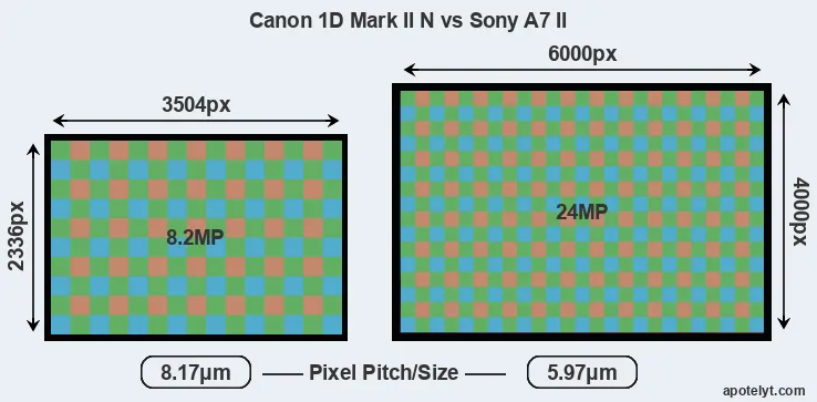 1D Mark II N versus A7 II MP