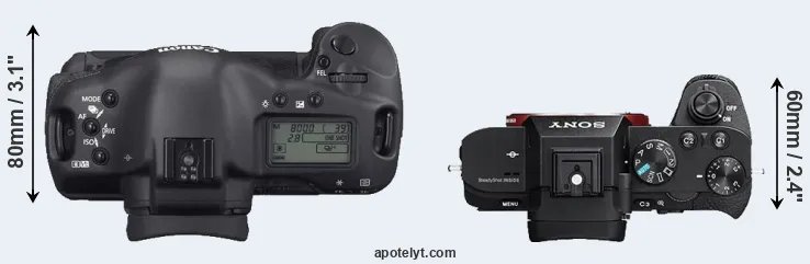Compare 1D Mark II N versus A7 II top