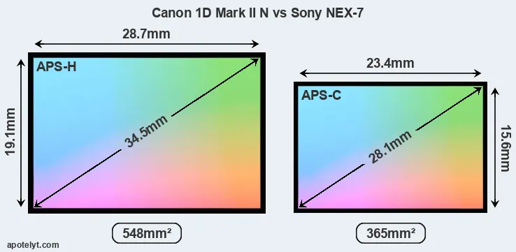 Canon 1D Mark II N and Sony NEX-7 sensor measures
