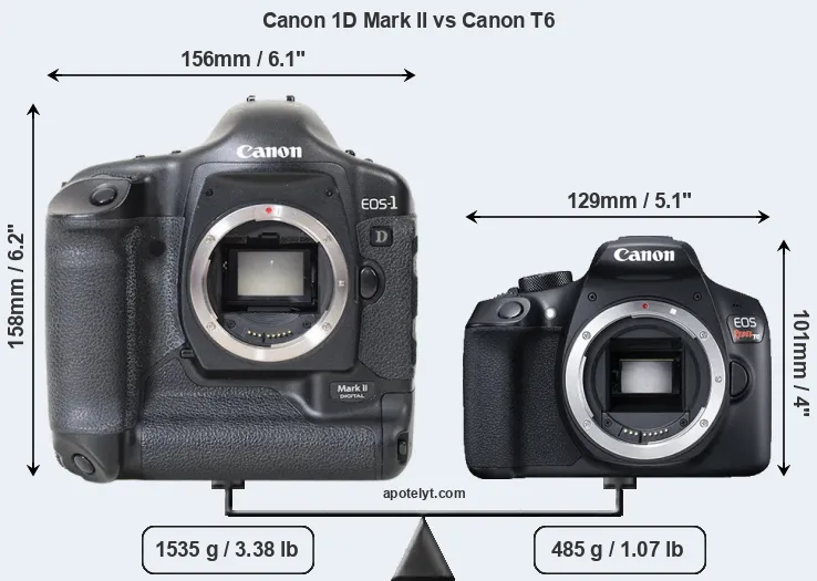 Size Canon 1D Mark II vs Canon T6