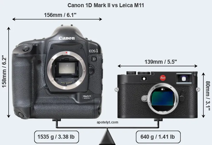 Size Canon 1D Mark II vs Leica M11
