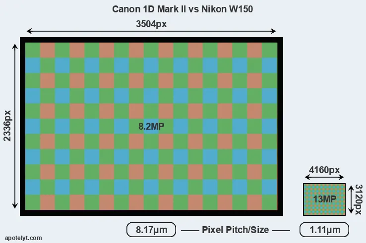 1D Mark II versus W150 MP