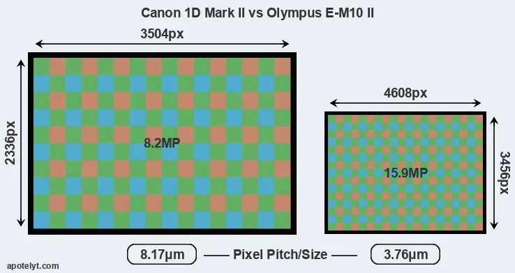 1D Mark II versus E-M10 II MP