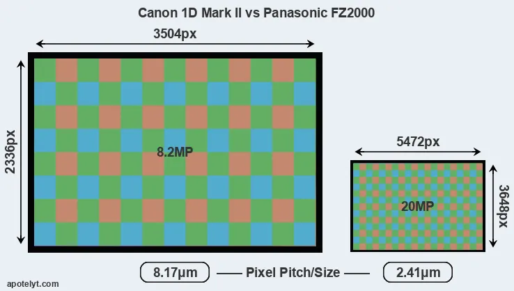 1D Mark II versus FZ2000 MP