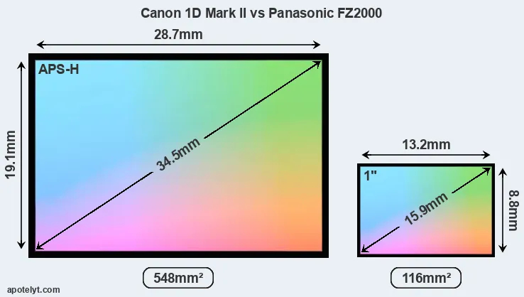 Canon 1D Mark II and Panasonic FZ2000 sensor measures