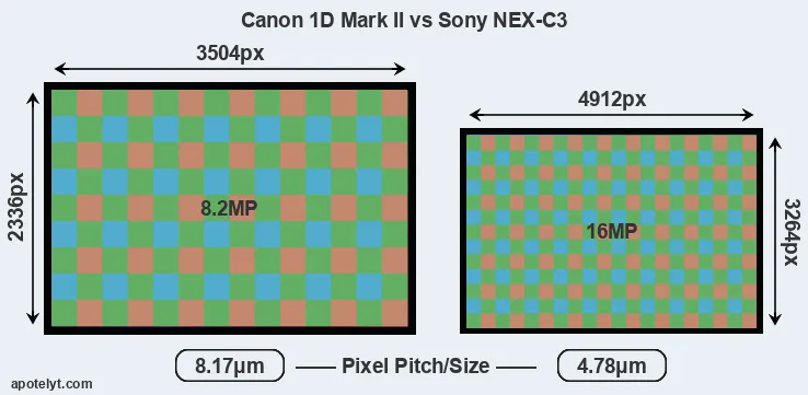 1D Mark II versus NEX-C3 MP