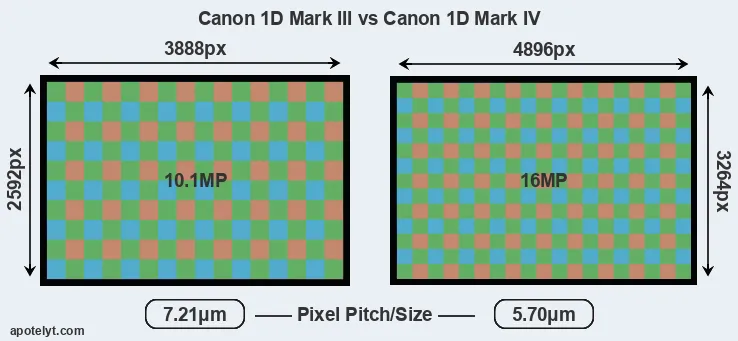 1D Mark III versus 1D Mark IV MP