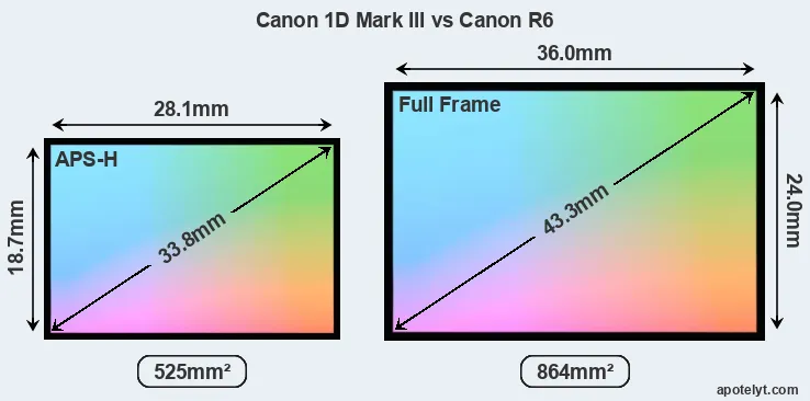 Canon 1D Mark III and Canon R6 sensor measures