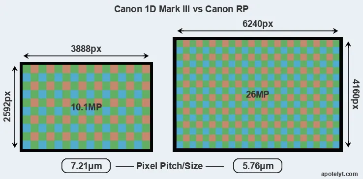 1D Mark III versus RP MP