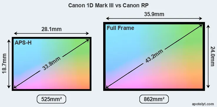 Canon 1D Mark III and Canon RP sensor measures