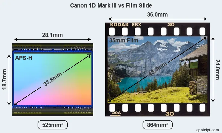 Canon 1D Mark III sensor measures