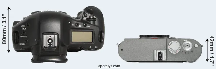 Compare 1D Mark III versus M-E Typ 240 top