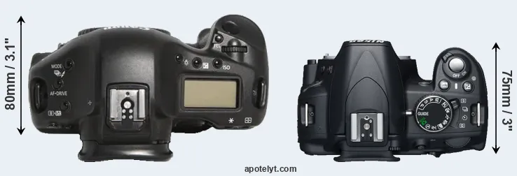 Compare 1D Mark III versus D3100 top