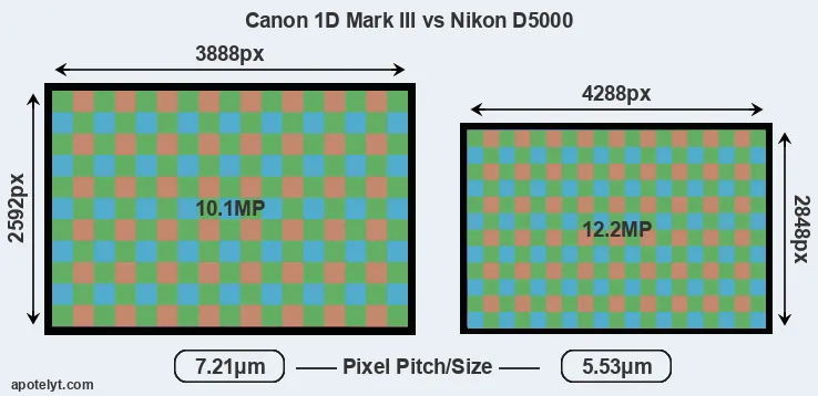 1D Mark III versus D5000 MP