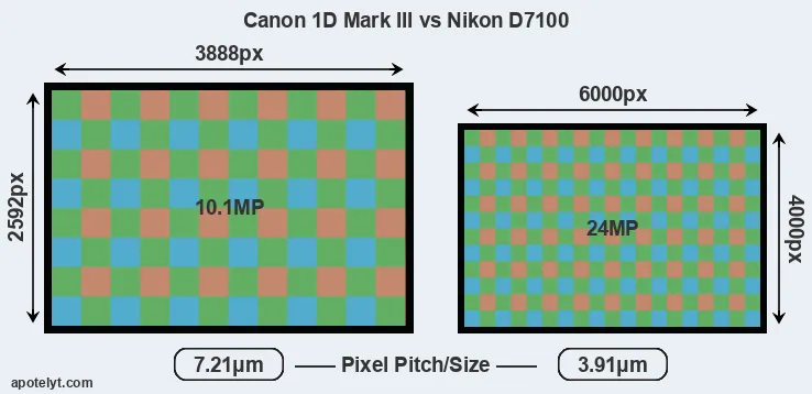 1D Mark III versus D7100 MP