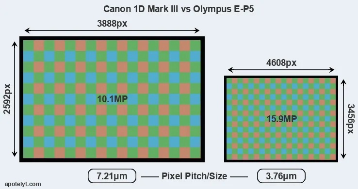 1D Mark III versus E-P5 MP