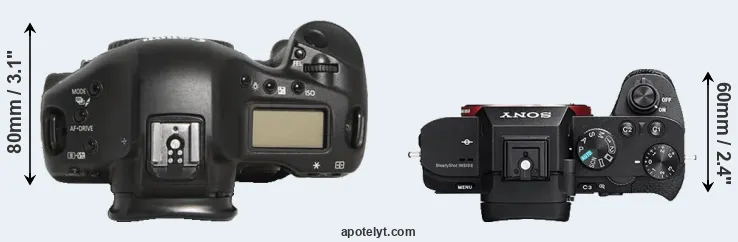 Compare 1D Mark III versus A7 II top