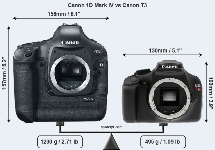 Size Canon 1D Mark IV vs Canon T3