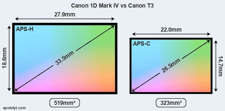 Canon 1D Mark IV and Canon T3 sensor measures