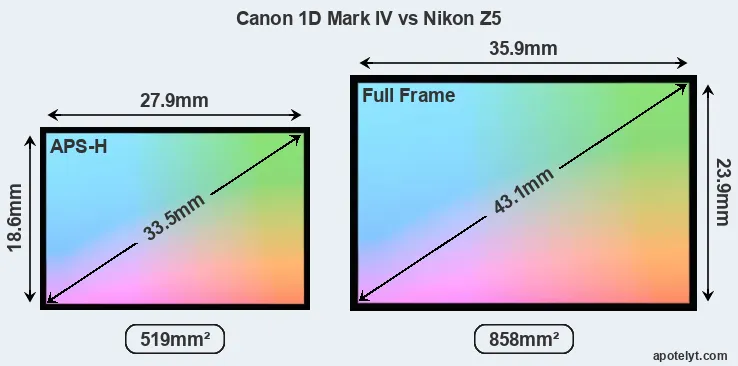 Canon 1D Mark IV and Nikon Z5 sensor measures