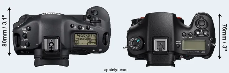 Compare 1D Mark IV versus A99 II top
