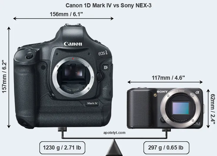 Size Canon 1D Mark IV vs Sony NEX-3