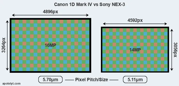1D Mark IV versus NEX-3 MP