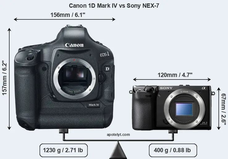 Size Canon 1D Mark IV vs Sony NEX-7
