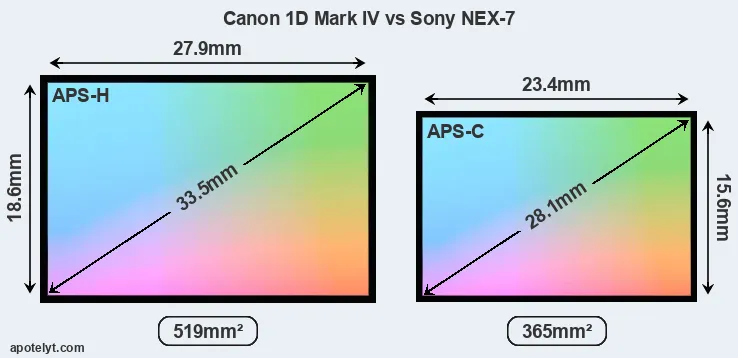 Canon 1D Mark IV and Sony NEX-7 sensor measures