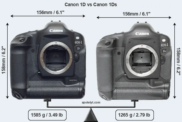 Size Canon 1D vs Canon 1Ds