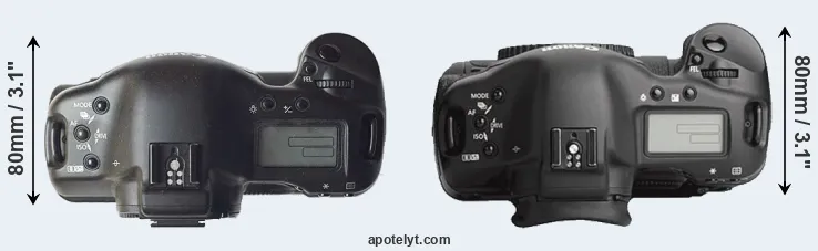 Compare 1D versus 1Ds Mark III top