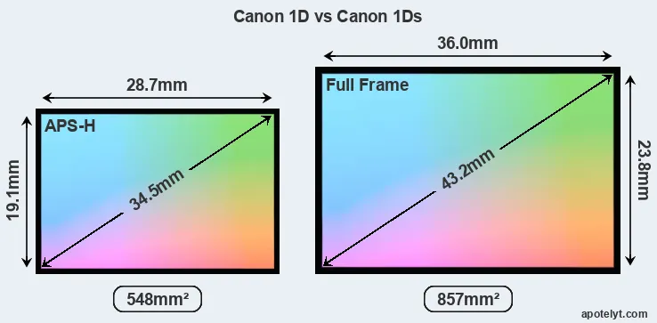 Canon 1D and Canon 1Ds sensor measures