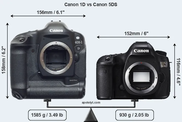 Size Canon 1D vs Canon 5DS